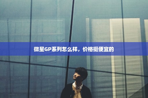 微星GP系列怎么样，价格挺便宜的