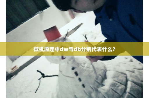 微机原理中dw与db分别代表什么？
