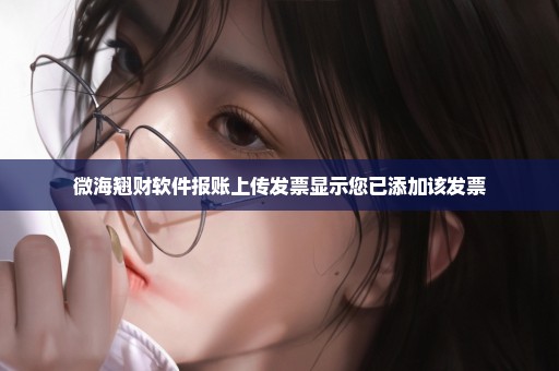 微海翘财软件报账上传发票显示您已添加该发票
