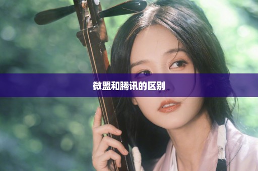 微盟和腾讯的区别