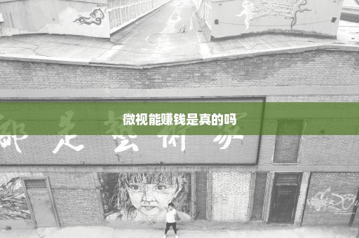 微视能赚钱是真的吗