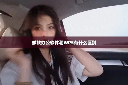 微软办公软件和WPS有什么区别