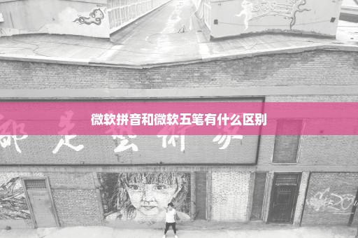 微软拼音和微软五笔有什么区别