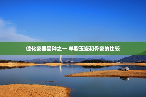 德化瓷器品种之一 羊脂玉瓷和骨瓷的比较