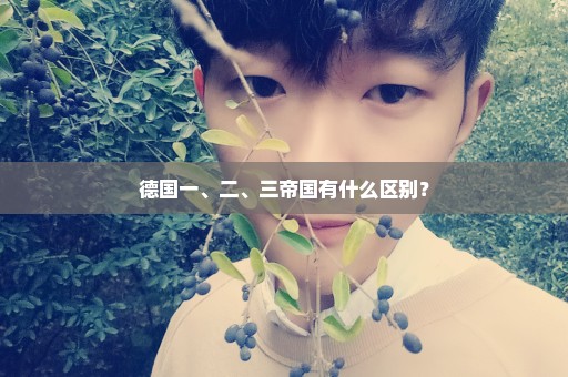 德国一、二、三帝国有什么区别？
