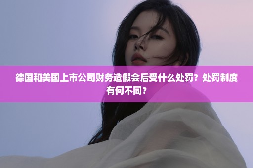 德国和美国上市公司财务造假会后受什么处罚？处罚制度有何不同？