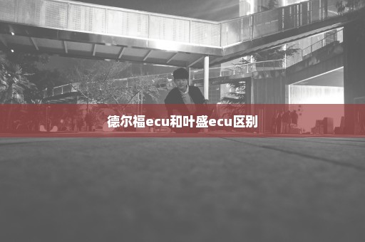 德尔福ecu和叶盛ecu区别