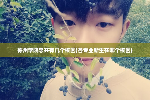 德州学院总共有几个校区(各专业新生在哪个校区)