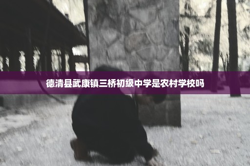 德清县武康镇三桥初级中学是农村学校吗