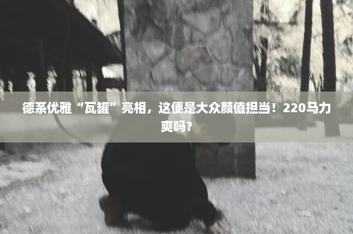 德系优雅“瓦罐”亮相，这便是大众颜值担当！220马力爽吗？