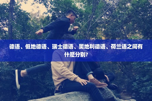 德语、低地德语、瑞士德语、奥地利德语、荷兰语之间有什麽分别?