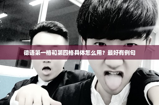 德语第一格和第四格具体怎么用？最好有例句