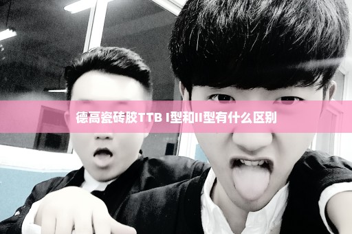 德高瓷砖胶TTB I型和II型有什么区别