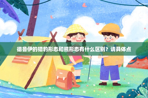 德鲁伊的猎豹形态和熊形态有什么区别？请具体点