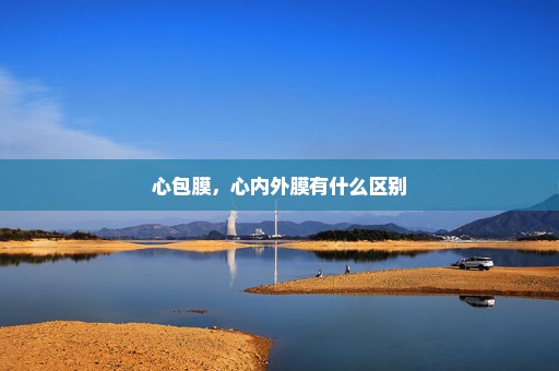心包膜，心内外膜有什么区别