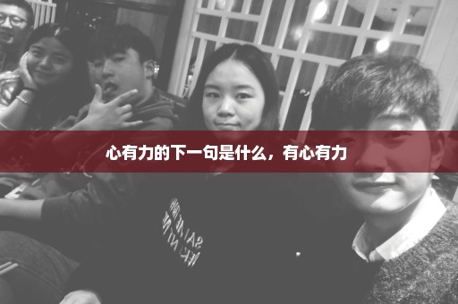 心有力的下一句是什么，有心有力 