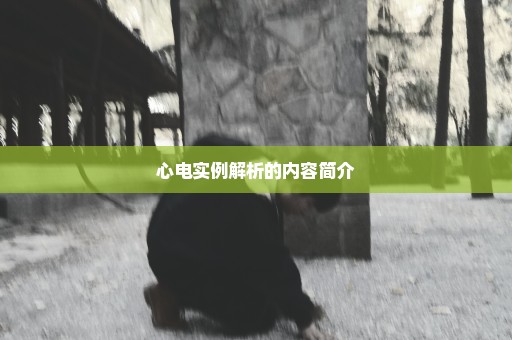 心电实例解析的内容简介