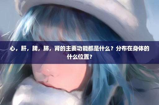 心，肝，脾，肺，肾的主要功能都是什么？分布在身体的什么位置？