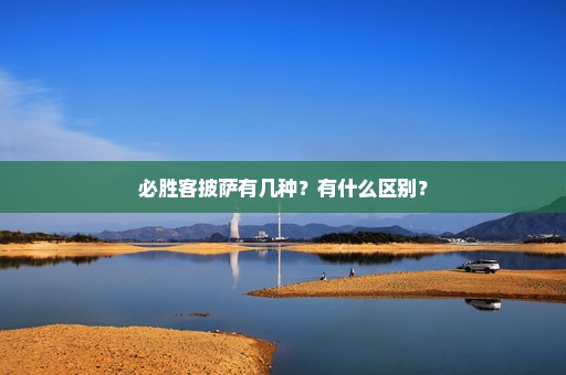 必胜客披萨有几种？有什么区别？