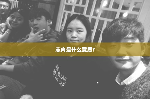 志向是什么意思?