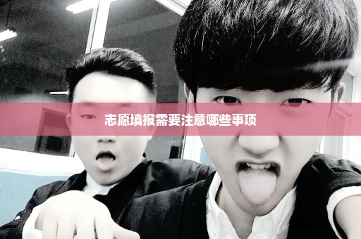 志愿填报需要注意哪些事项