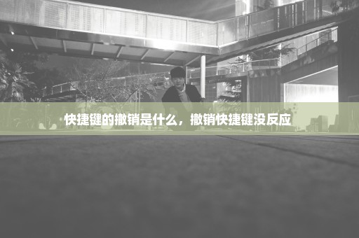 快捷键的撤销是什么，撤销快捷键没反应 