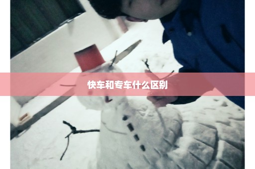 快车和专车什么区别