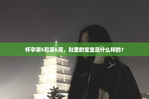 怀孕第5和第6周，肚里的宝宝是什么样的？