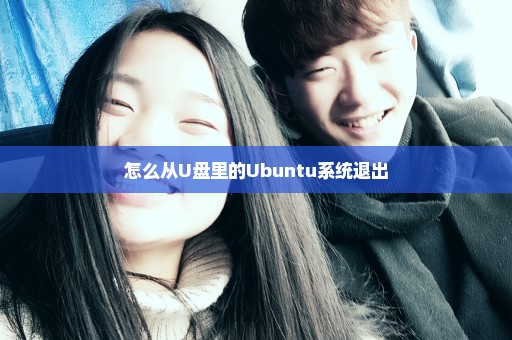 怎么从U盘里的Ubuntu系统退出