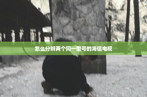 怎么分辨两个同一型号的海信电视