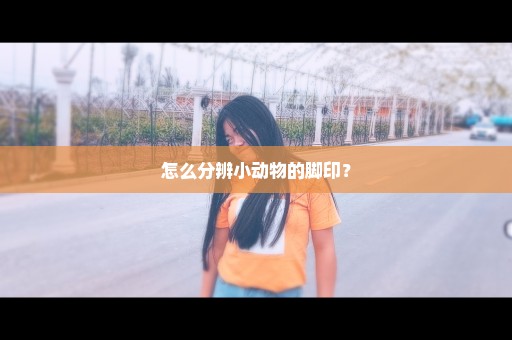 怎么分辨小动物的脚印？