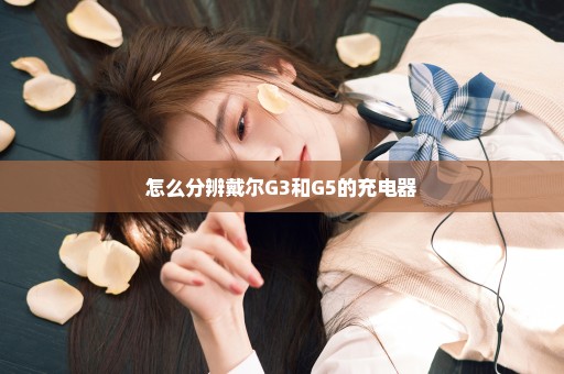 怎么分辨戴尔G3和G5的充电器