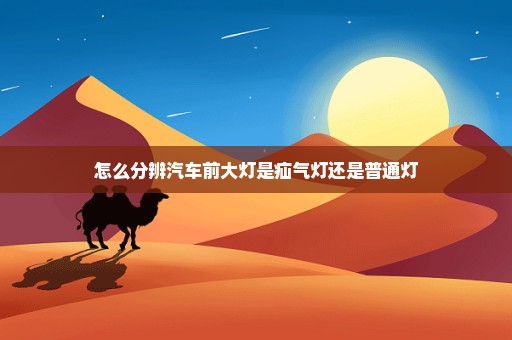 怎么分辨汽车前大灯是疝气灯还是普通灯
