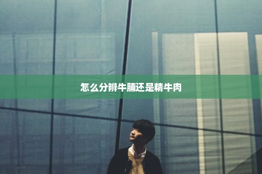 怎么分辨牛腩还是精牛肉