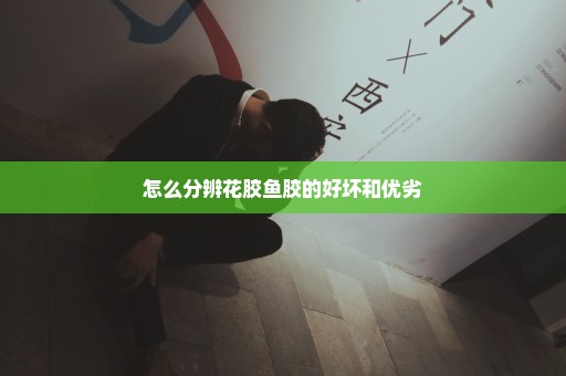 怎么分辨花胶鱼胶的好坏和优劣
