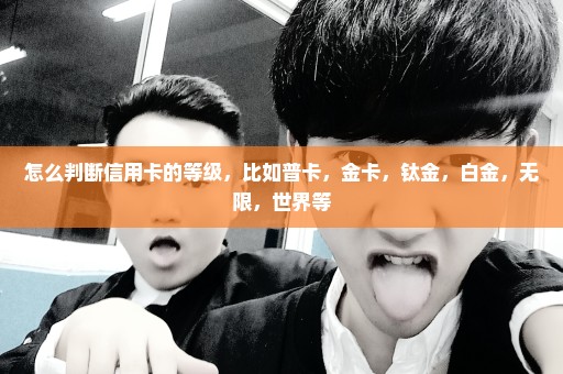 怎么判断信用卡的等级，比如普卡，金卡，钛金，白金，无限，世界等