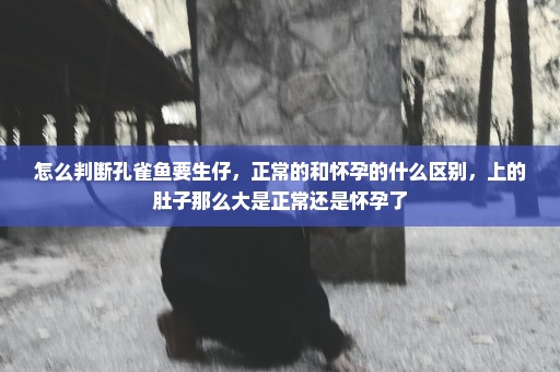 怎么判断孔雀鱼要生仔，正常的和怀孕的什么区别，上的肚子那么大是正常还是怀孕了