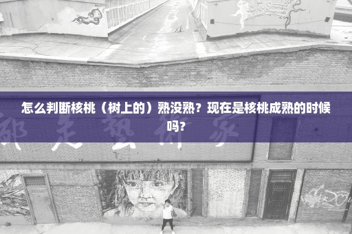 怎么判断核桃（树上的）熟没熟？现在是核桃成熟的时候吗？