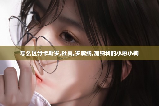 怎么区分卡斯罗,杜高,罗威纳,加纳利的小崽小狗