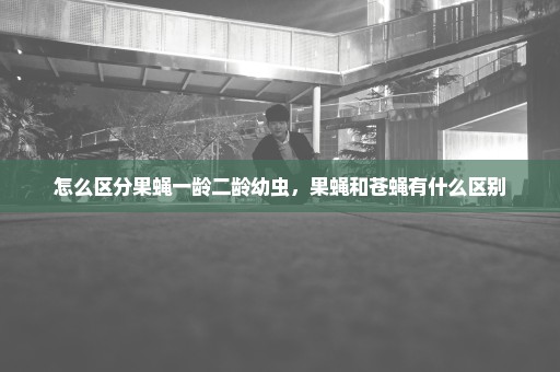 怎么区分果蝇一龄二龄幼虫，果蝇和苍蝇有什么区别