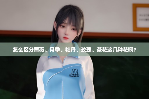 怎么区分蔷薇、月季、牡丹、玫瑰、茶花这几种花啊？