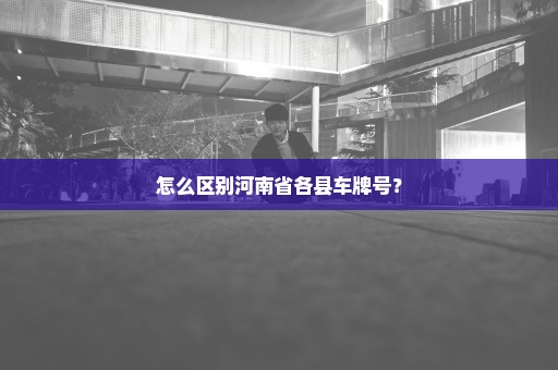 怎么区别河南省各县车牌号？