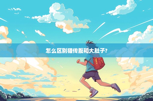 怎么区别猫传腹和大肚子?