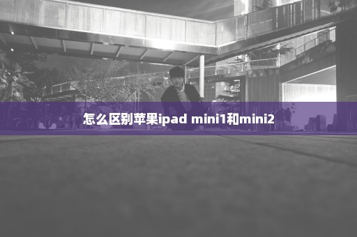 怎么区别苹果ipad mini1和mini2