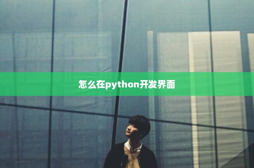 怎么在python开发界面