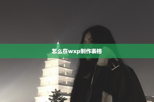怎么在wxp制作表格