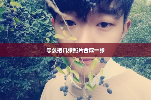 怎么把几张照片合成一张