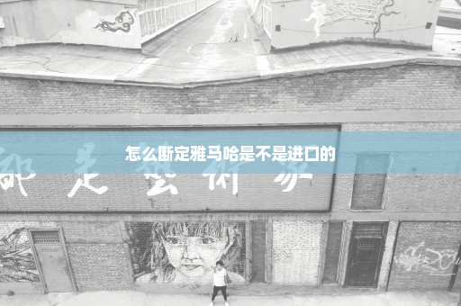 怎么断定雅马哈是不是进口的