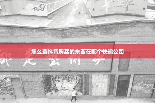 怎么查抖音购买的东西在哪个快递公司