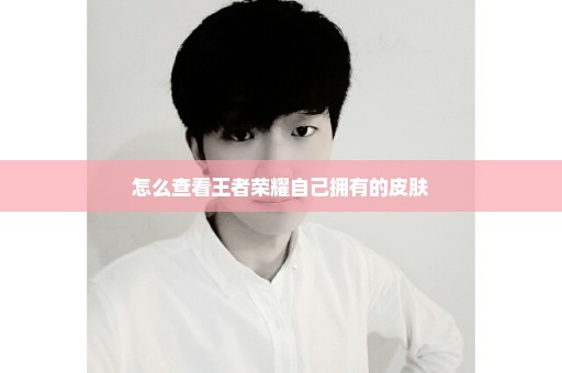 怎么查看王者荣耀自己拥有的皮肤